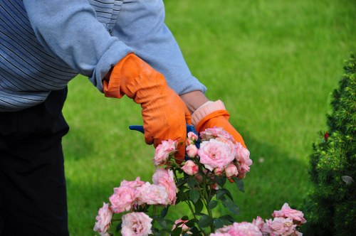 A person wearing a grey long-sleeve top and bright orange gardening gloves is trimming a cluster of pink roses in a well-maintained garden. The garden features a lush, green lawn with dense grass and a neatly edged flower bed bordered by soil and small plants. In the background, there are evenly spaced shrubs with dark green foliage, and the scene appears to be outdoors on a clear day, possibly during spring or summer. The garden surface includes paved pathways or patio tiles, contributing to the organised outdoor space typical of residential landscaping. The overall environment reflects a tidy, cultivated garden setting that aligns with professional gardening and hedge trimming services offered by Hedge Trimming Staines, supporting local landscaping needs in the Staines area.