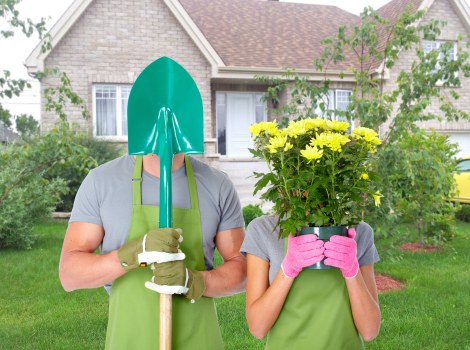 Professional tree lopping service in Staines