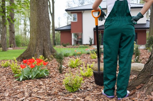 Safe and efficient tree removal process